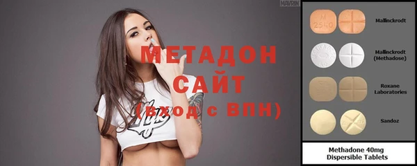 сатива Новозыбков