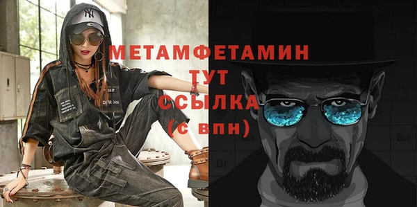 сатива Новозыбков