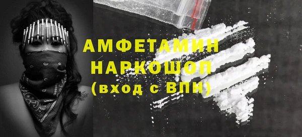 ешки Алексин